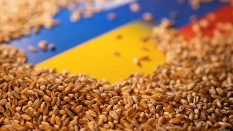 РФ снова вывозит краденое из Украины зерно, используя порт временно оккупированного Бердянска в Запорожье.