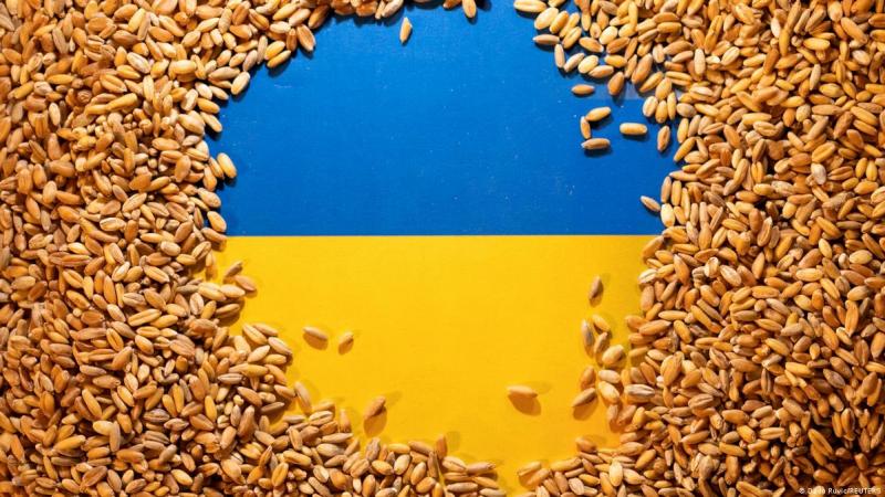 Украина решила временно приостановить экспорт зерна в Польшу.