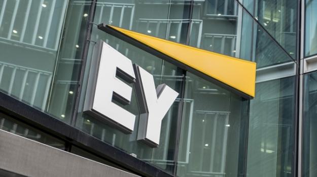 Компания Ernst & Young, проведшая аудит консолидированной финансовой отчетности Национального банка Украины за 2022 год, раскритиковала НБУ из-за того, что власти должны были создать резервы для выкупленных государственных облигаций, чтобы предотвратить потенциальные риски для денежной кредитной системы.