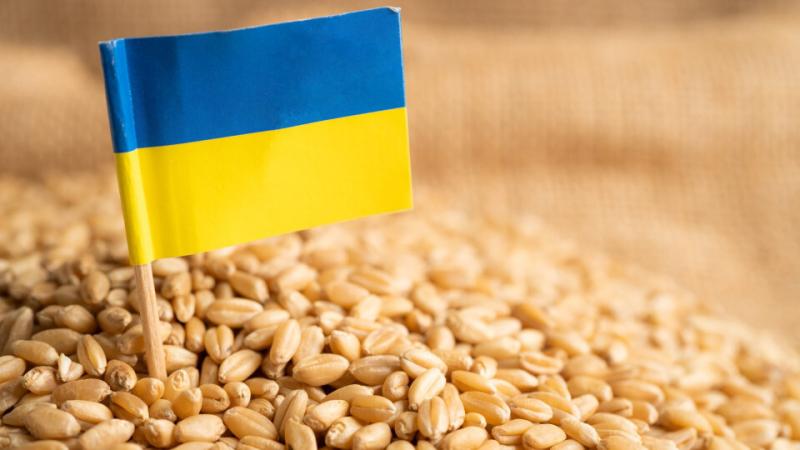 Рішення польського уряду заборонити імпорт українських сільськогосподарських товарів минулого місяця коштувало Києву $143 млн.
