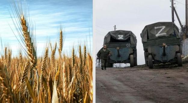Українська зернова асоціація підрахувала, що з початку великої війни росіяни вкрали з України близько 4 мільйонів тонн зерна.