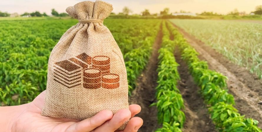 Украинские аграрные предприятия на 14 июня привлекли с начала года почти 37 млрд гривен банковских кредитов.
