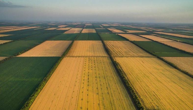 Земельний ринок в Україні попри воєнний стан залишається ліквідним і привабливим для інвесторів.