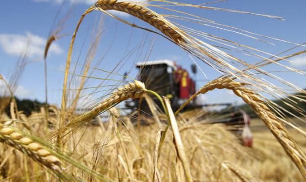 Украина в 2022/2023 маркетинговом году (с 1 июля 2022 по 30 июня 2023) экспортировала 48,99 миллиона тонн зерновых и зернобобовых культур.