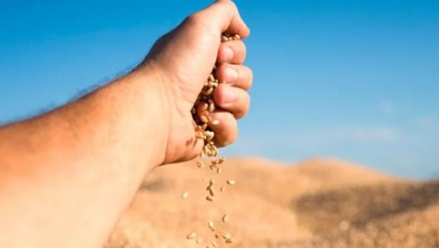 Стоимость фьючерсов на пшеницу на Чикагской бирже выросла на 4,2% после того, как россия объявила о приостановлении действия «Черноморской зерновой инициативы».