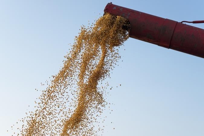 россия, Турция и Катар готовят новое трехстороннее «зерновое соглашение» для поставки российского зерна в бедные страны, преимущественно в Африке.
