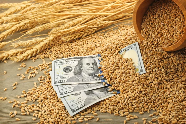 Більшість держав-членів Європейського Союзу не підтримують продовження заборони на імпорт зерна з України, яка має закінчитися після 15 вересня.