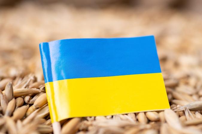 Министр экономического развития и технологий Польши Вальдемар Буда заявил, что «без колебаний» подпишет постановление о запрете на импорт украинского зерна после 15 сентября, если Европейская комиссия откажется его продлить.