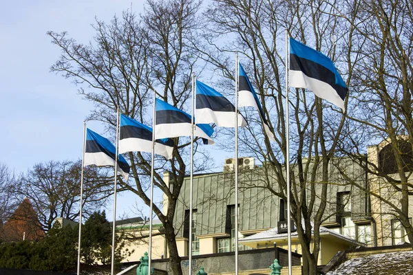 С 10 часов утра 13 сентября Эстония запретила въезд в страну автотранспорта с номерами российской федерации, поскольку он подпадает под действие санкций.