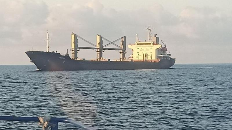 Друге судно вийшло з порту Чорноморськ з 17,6 тис. тонн української пшениці для Єгипту.