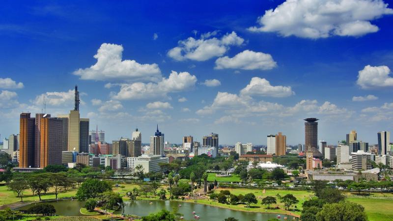 Кенія — одна з найрозвиненіших країн Африки, яка, крім досить потужної промисловості та ІТ-сектору, має стабільні демократичні інститути.