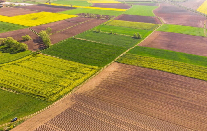 З нового року стартує другий етап земельної реформи — ринок землі відкриється для юросіб, а громадяни зможуть купувати значно більше сільгоспугідь в «одні руки».
