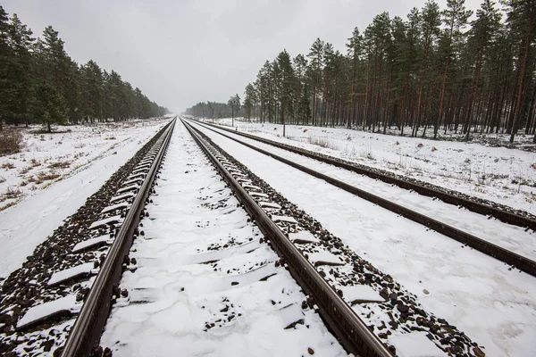 В результате снегопадов и непогоды некоторые поезда Укрзализныци курсируют с опозданием.