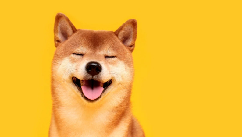6 грудня Dogecoin (DOGE) виповнилося десять років.