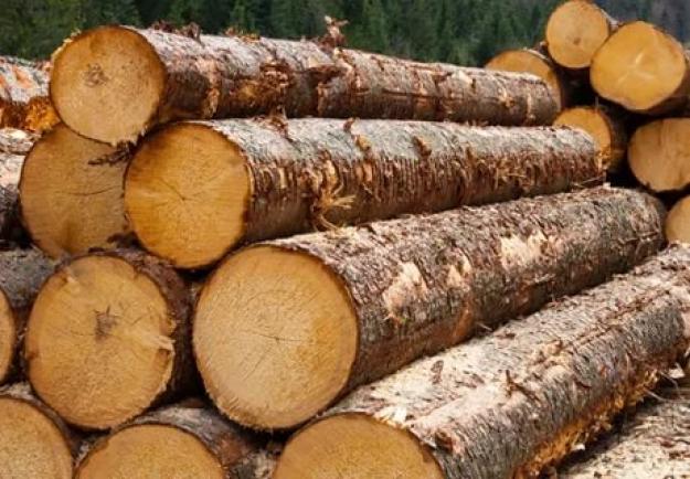 Українська універсальна біржа розпочала публікацію тижневих та місячних індексів цін на круглі лісоматеріали та деревину.
