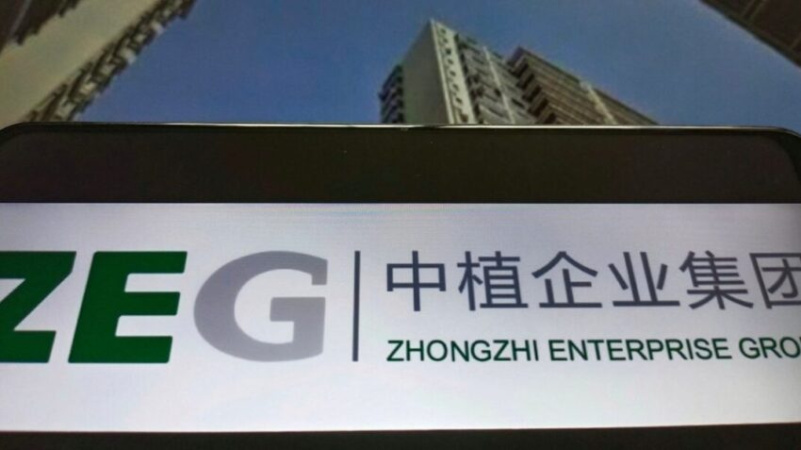 Китайський фінансовий конгломерат Zhongzhi Enterprise Group Co.