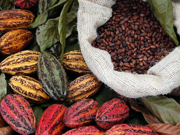 Ціни на какао-боби в п'ятницю зростають шосту сесію поспіль і, ймовірно, оновлять максимум за 46 років за підсумками торгів, повідомляє MarketWatch.►Читайте телеграм-канал «Мінфіну»: головні фінансові новини«Пропозиція какао-бобів із Західної Африки залишається обмеженою, і очікування, що обсяги їх виробництва будуть нижчими від попиту, посилюються», — зазначає віцепрезидент The Price Futures Group Джек Сковіл.