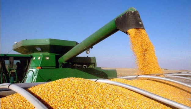 Украина присоединилась к Кернской группе, которая в рамках Всемирной торговой организации (ВТО) объединяет сторонников большей либерализации международной торговли сельскохозяйственными товарами.