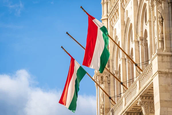 Венгрия планирует разрешить банкам, инвестиционным фондам и управляющим активами предоставлять частным и корпоративным клиентам услуги на рынке цифровых активов.