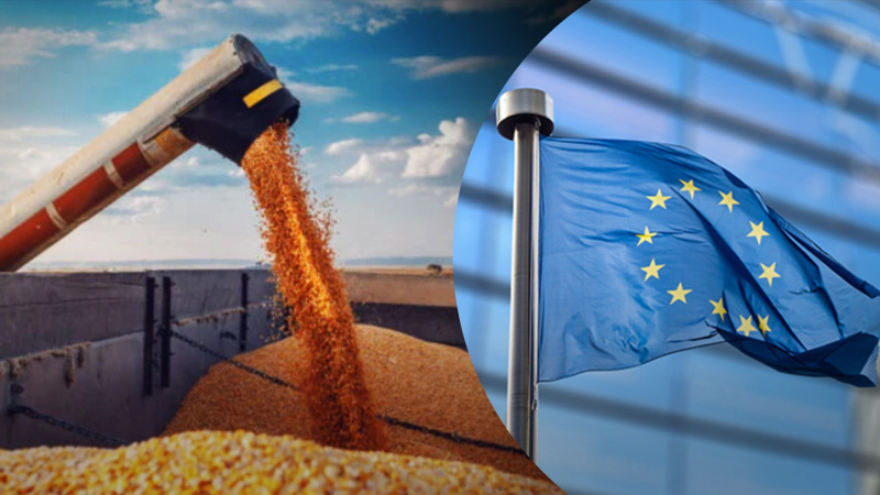 Чехія на найближчій зустрічі міністрів сільського господарства ЄС запропонує Брюсселю внести імпорт російського та білоруського зерна до списку санкцій.