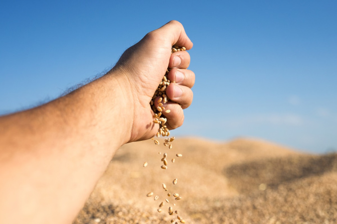 Европейская комиссия подготовила решение о введении пошлин на ввоз зерновых из россии и беларуси в ЕС на уровне 95 евро за тонну, что будет равна пошлине в 50%.