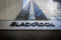 Фонд токенизированных государственных бондов BlackRock (BUIDL) стал крупнейшим в своем роде, превзойдя конкурента Franklin Templeton всего через шесть недель после листинга.