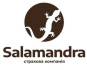 Національний банк ухвалив рішення про застосування до ПРАТ «Страхова компанія «Саламандра» (ЄДРПОУ 21870998) заходу впливу у вигляді анулювання ліцензій.
