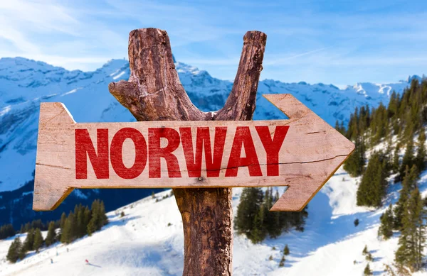 Норвежское правительство запретило гражданам россии посещать страну с туристической и другой «несущественной» целью.