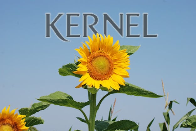 Компанія Kernel Holding S.