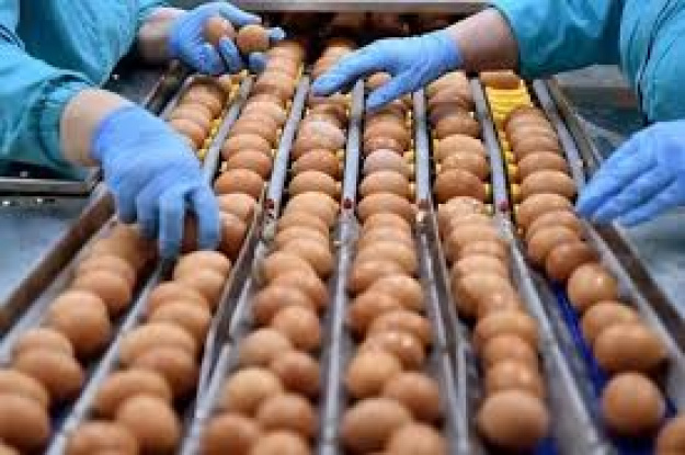 Продукція, яка стане «зайвою» в Європі, в Україні дешевшатиме