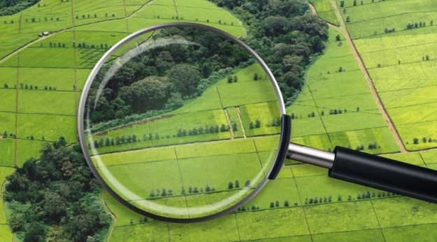 Четыре года назад Украина наконец-то отменила двадцатилетний запрет на торговлю землей.