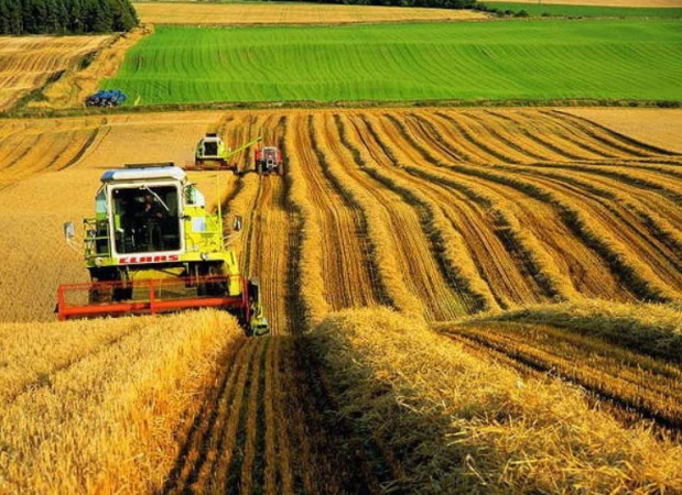 Прогнози зростання економіки, за підсумками цього року, стрімко знижуються, а низка ключових галузей демонструє падіння.