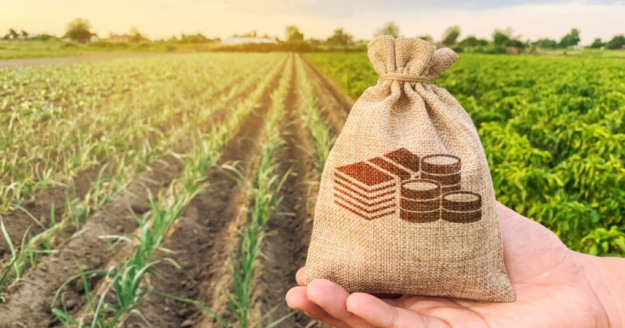 На этой неделе, с 15 по 19 сентября, в рамках проекта «Земельный банк» состоялось 16 онлайн-аукционов по субаренде государственных сельскохозяйственных земель на сумму 41,1 млн грн (+8,2 млн грн НДС).