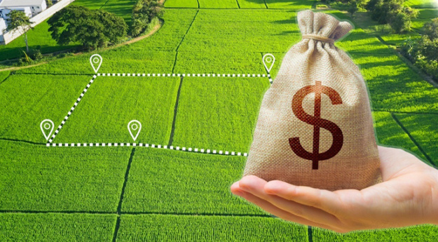 В январе-августе 2025 года местные бюджеты получили 29,7 млрд грн платы за землю.