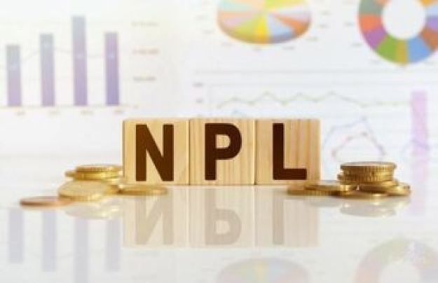 Частка непрацюючих кредитів (NPL) у банківському секторі продовжує скорочуватися і станом на 1 вересня 2025 року сягнула 25,3%, що на 4,9 в.