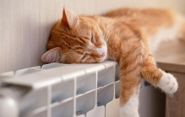 В Киеве с 3 октября начнется отопительный сезон для учреждений социальной сферы — больниц, детских садов, школ и других учреждений.