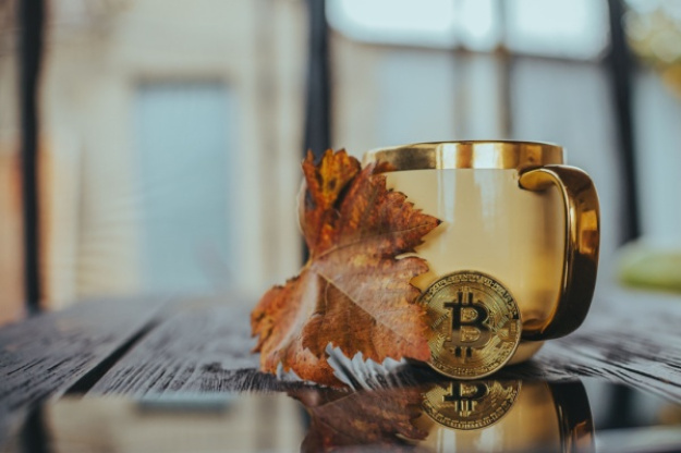 Крипторинок піднявся: топ криптовалют на чолі з біткоїном штурмує нові максимуми.