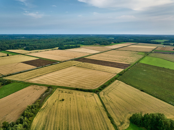 Украина сделала еще один шаг к полной цифровизации земельных отношений.