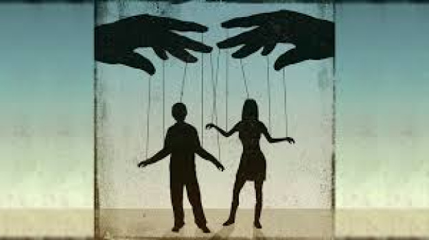 ГНС запускает цифровой сервис TAX Control.