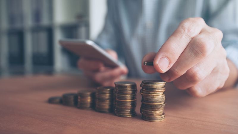 Минфин занизил расчет дополнительной нагрузки на ФЛП в случае введения для них НДС — Южанина