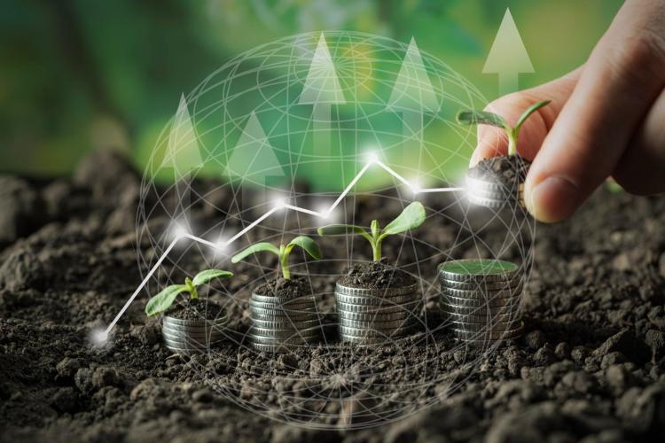 Zeminvest: итоги 2025 года на рынке инвестирования в землю