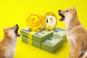 Dogecoin (DOGE), оригинальная криптовалюта-мем, продолжает привлекать инвесторов своим преданным сообществом и поддержкой знаменитостей.