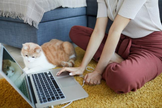 В Україні вже найближчим часом може з'явитися новий Трудовий кодекс.