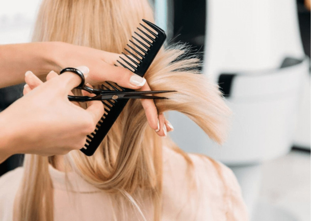 Парламентський комітет з питань соціальної політики та захисту прав ветеранів повернувся до розгляду законопроєкту № 8143.