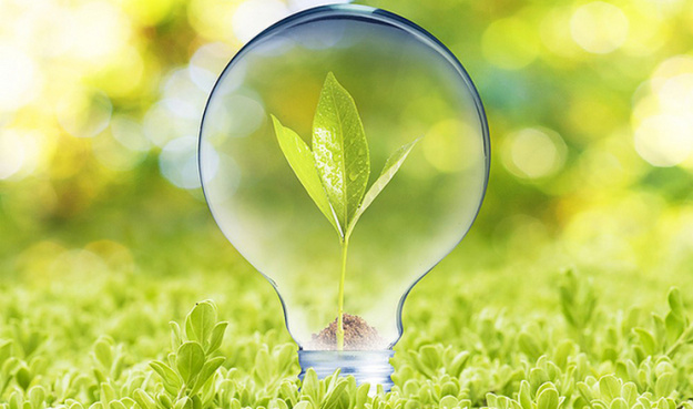 Мир больше не строит солнечные и ветровые электростанции ради спасения белых медведей.