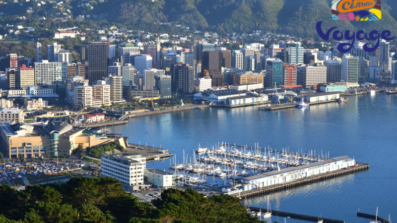 Из-за дефицита топлива в Новой Зеландии могут ограничить использование автомобилей