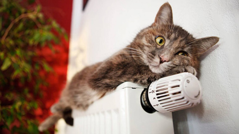 Опалювальний сезон у Києві завершується 24 березня, повідомляє КМДА.