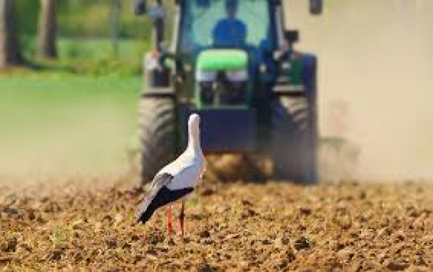 Весняна посівна кампанія розпочалася вже в 17 областях у звичні для сезону терміни.