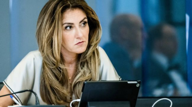 Министр обороны Нидерландов Дилан Ешилгез-Зегериус во время заседания Контактной группы по обороне Украины заявила, что Нидерланды инвестируют 248 миллионов евро в дроны для Украины.