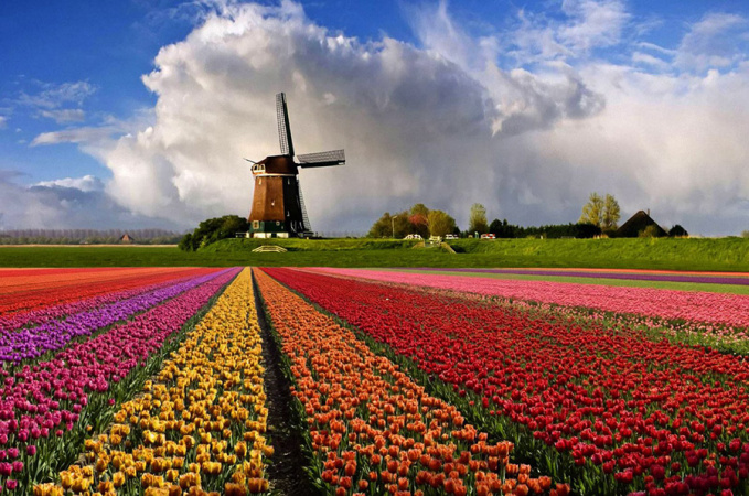 У Нідерландах ухвалили новий закон, який змінює правила надання притулку та суттєво обмежує можливості для возз'єднання сімей.